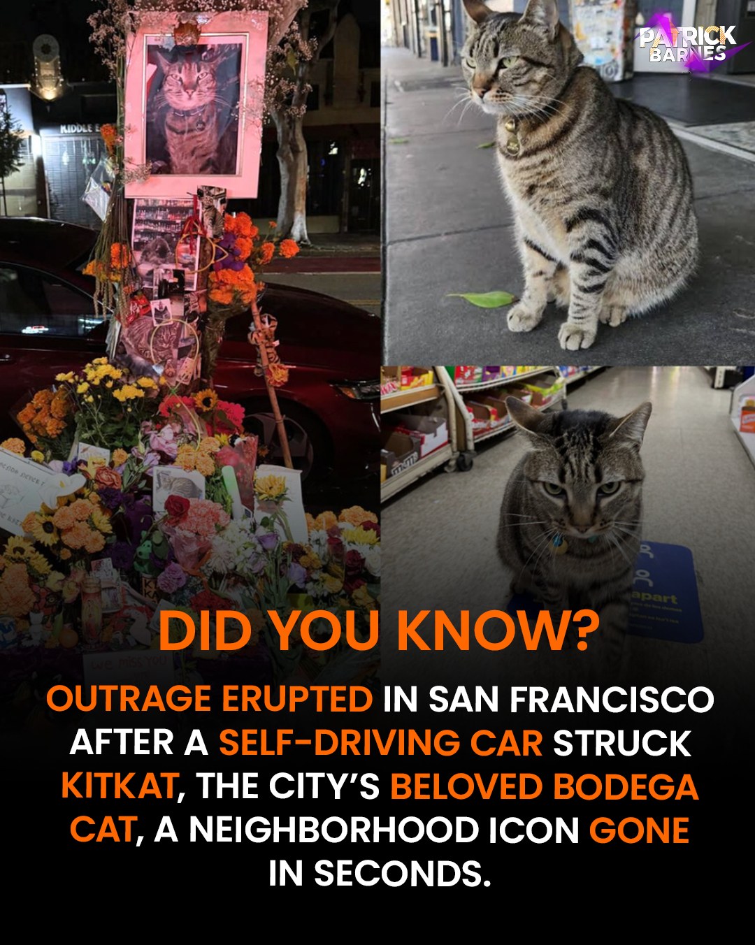 A memorial for KitKat now sits outside of Randa's Market on 16th
