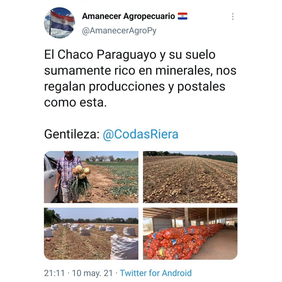 El Chaco Paraguayo y su suelo... - Agropecuarios Paraguay | Facebook
