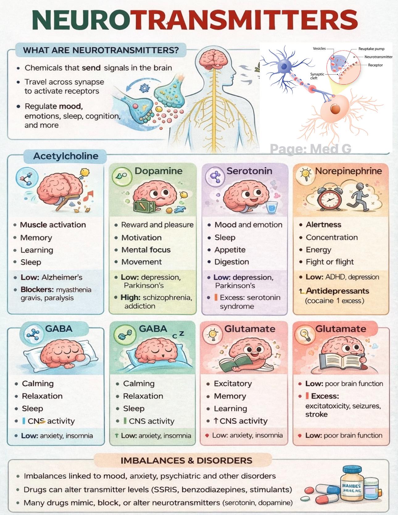 Med - #Neurotransmitters are essential chemical messengers that ...