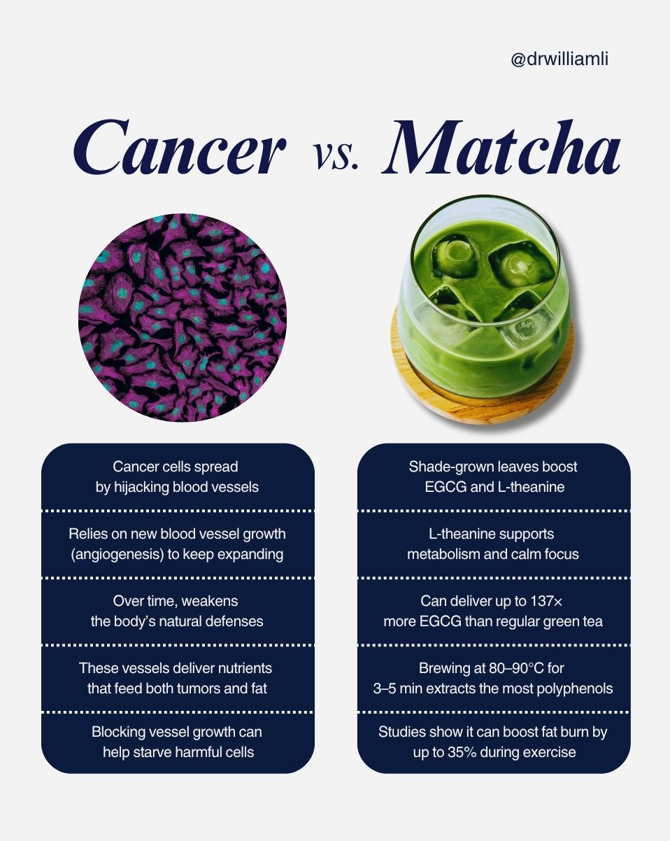 Dr. William Li - Did you know your daily cup of matcha... | Facebook