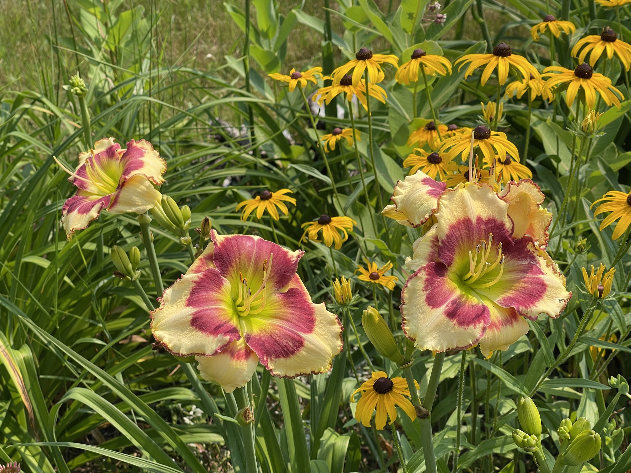 Sunny Hill Gardens | Loudon NH