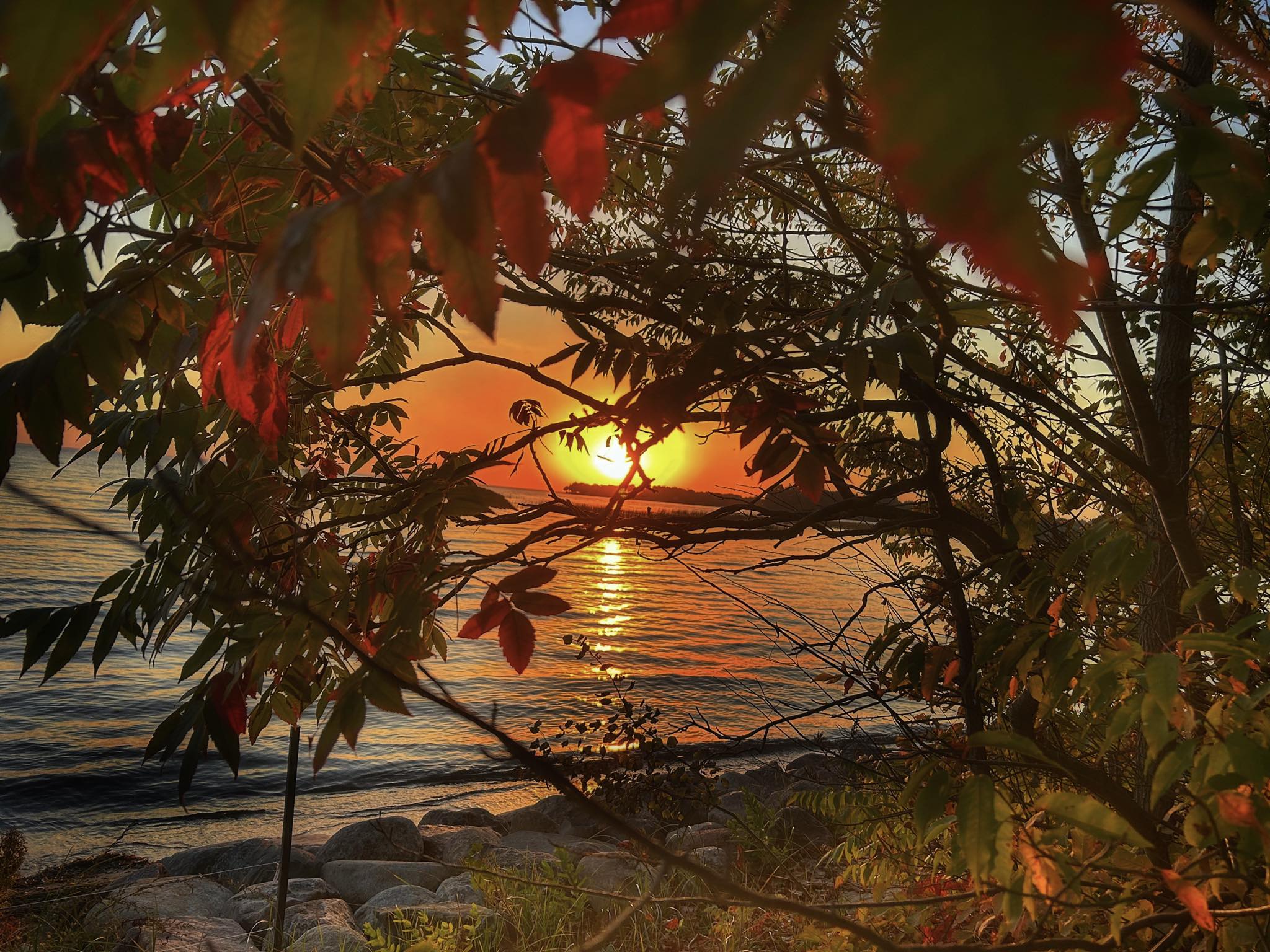 Springvale Campground | Stanchfield MN
