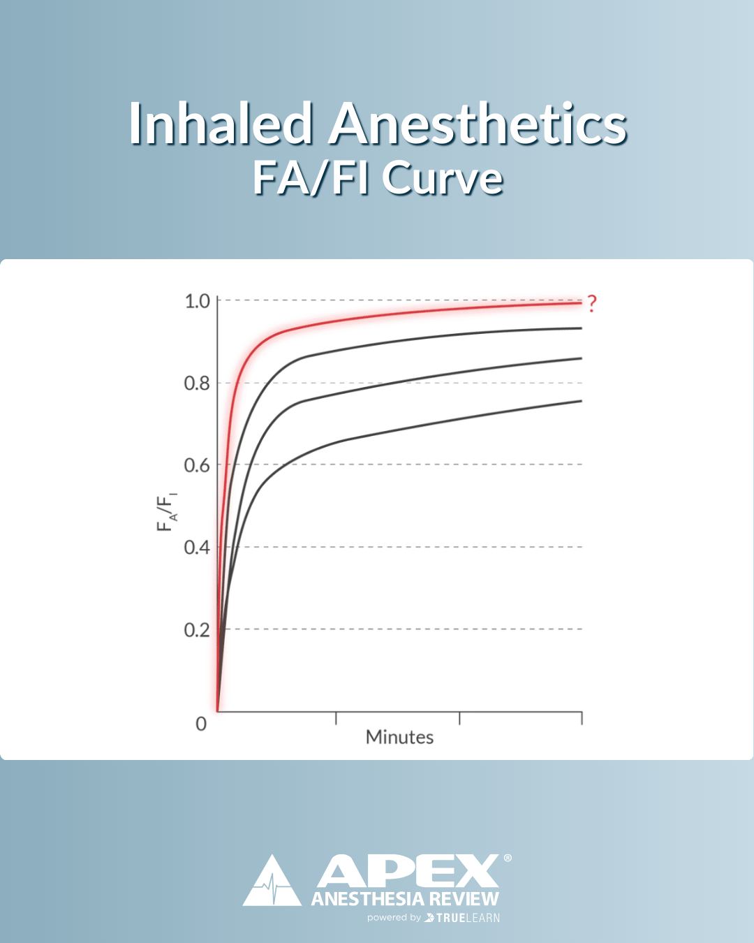 APEX Anesthesia Review | Charlotte NC