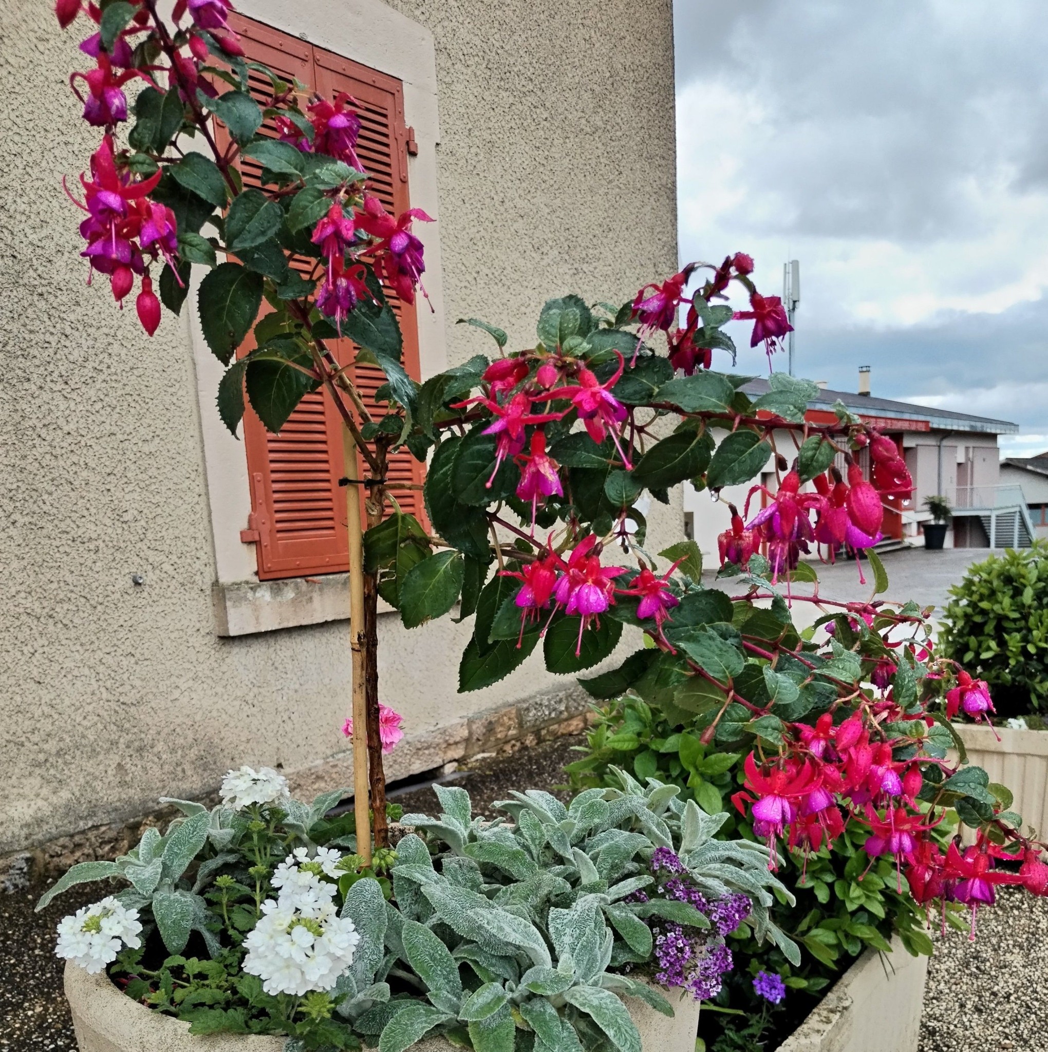 🚗 Plaisir, Sécurité et... - Mairie de Dompierre-sur-Veyle | Facebook