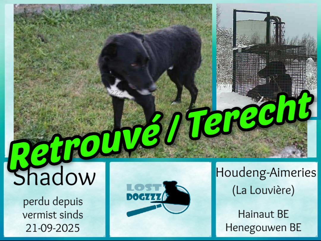 Vzw - ️ Home sweet Home ️ 07-01: FIN HEUREUSE POUR SHADOW (ET VICTOIRE ...