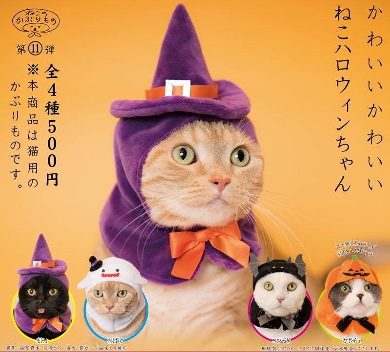 玩具部 新品登場貓咪頭套扭蛋第11彈 Wonderland Superstore Facebook