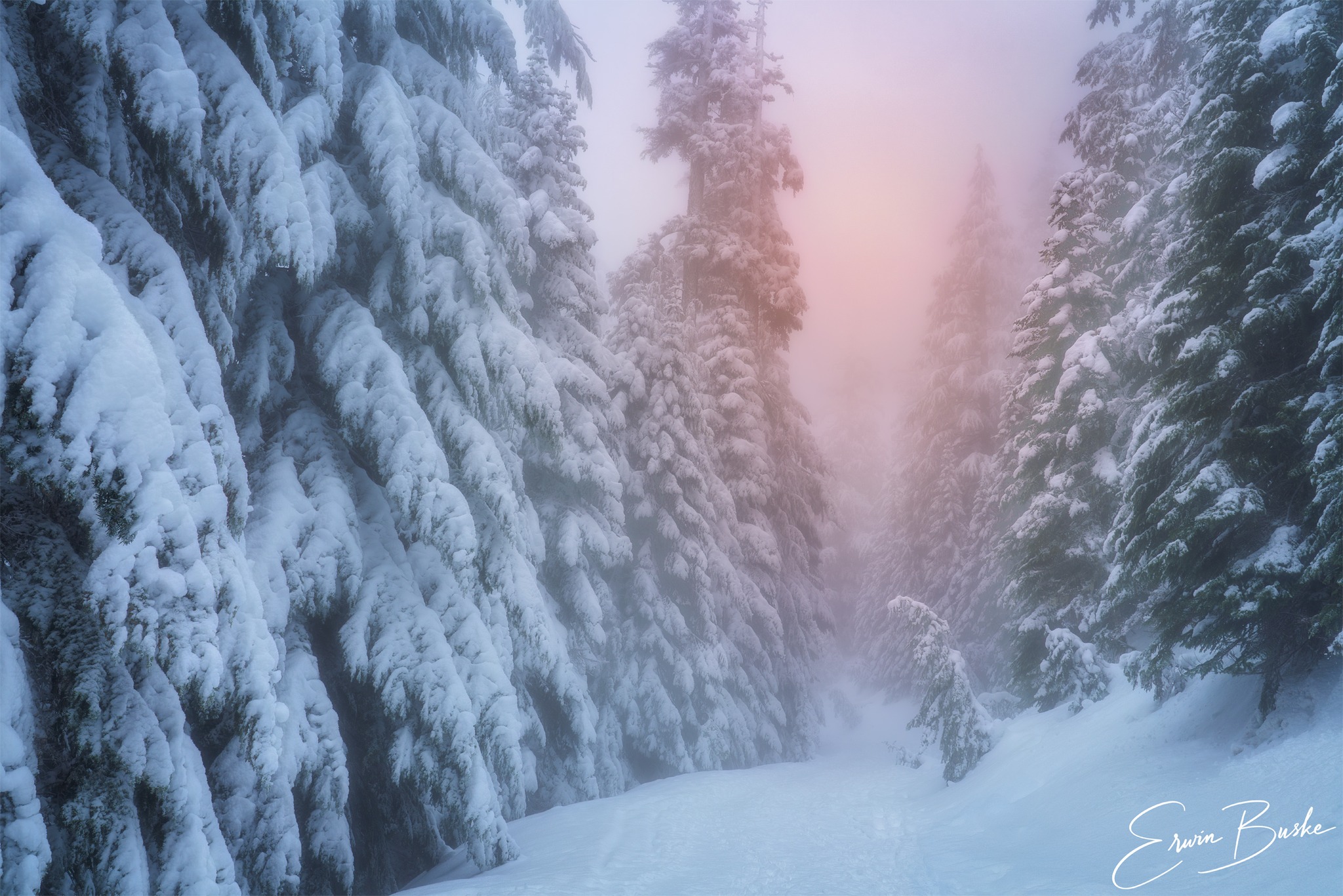 Erwin - Passage to Winter's Golden Light | Facebook