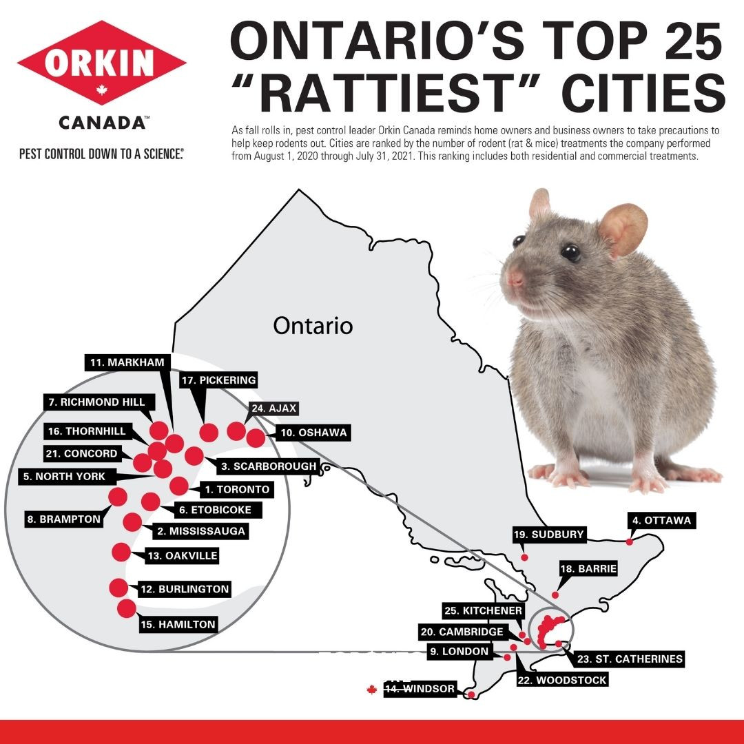 Toronto Culture - Toronto Culture added a new photo.
