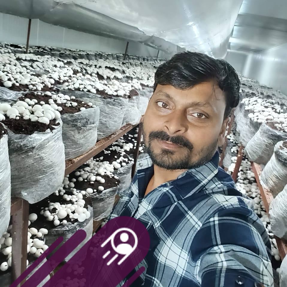 Jazz mushroom | Santosh Kumar Santosh