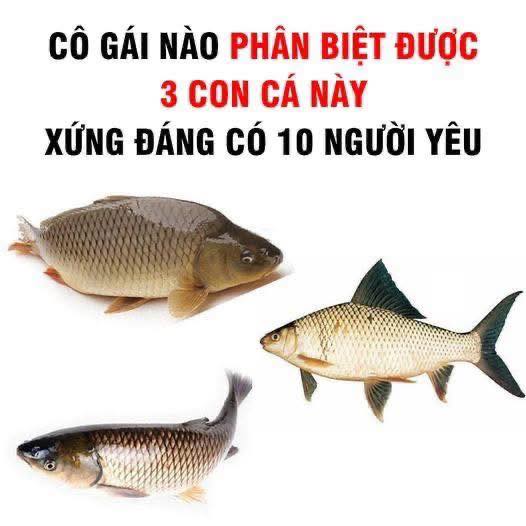 Quá dễ - Công thức nấu ăn ngon | Facebook