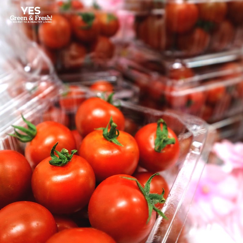 Yes, Green & Fresh - Tomat Ceri sering dipakai sebagai bahan pelengkap ...