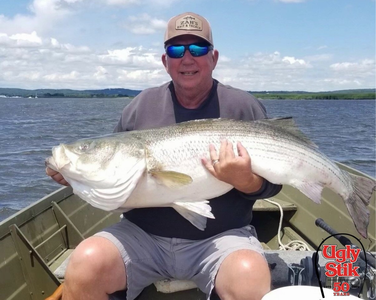 fdiffernece between ugly stik bigwater and tiger elite Jig Casting Rod powered engines Everyone has an Ugly Stik
