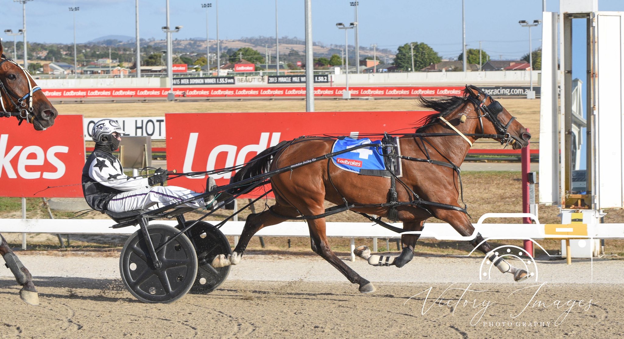 Race 2 - Harding’s Group Pace... - Launceston Pacing Club | Facebook