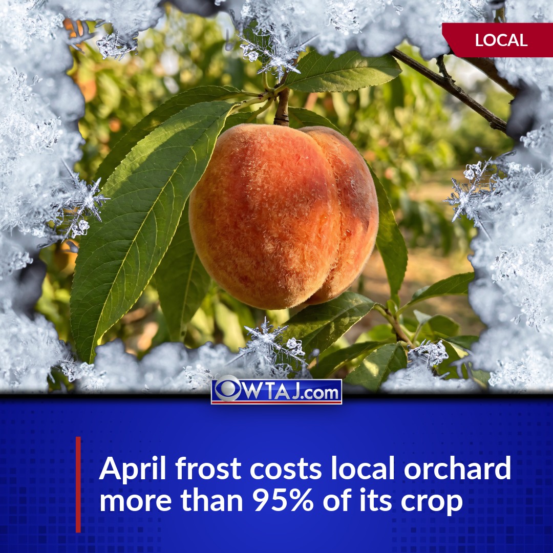 An orchard will not open for the 2026 season after harsh spring
