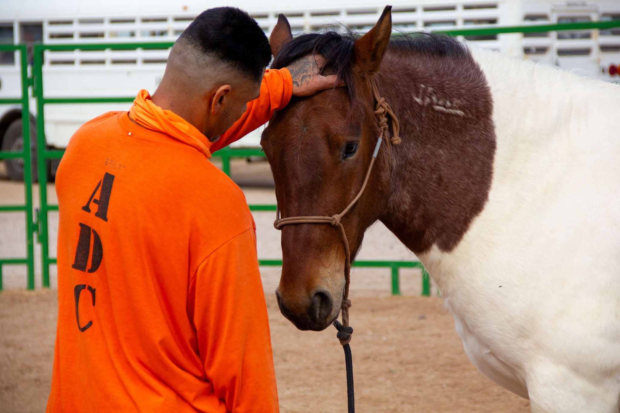 The Second Chance Ranch and Rescue