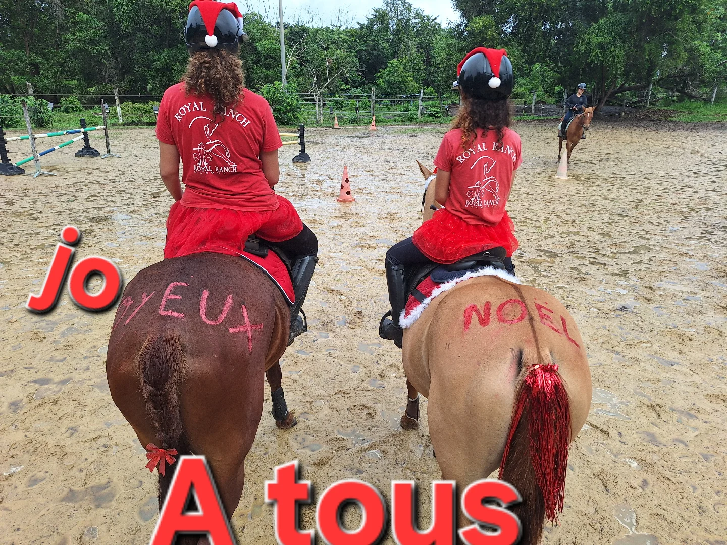 Royal Ranch Equitation... - Royal Ranch Equitation Guyane