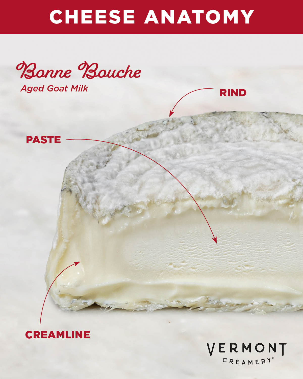 culture - Anatomy of a cheese 🧀—let’s break it down:⁠ ⁠ Rind: The ...