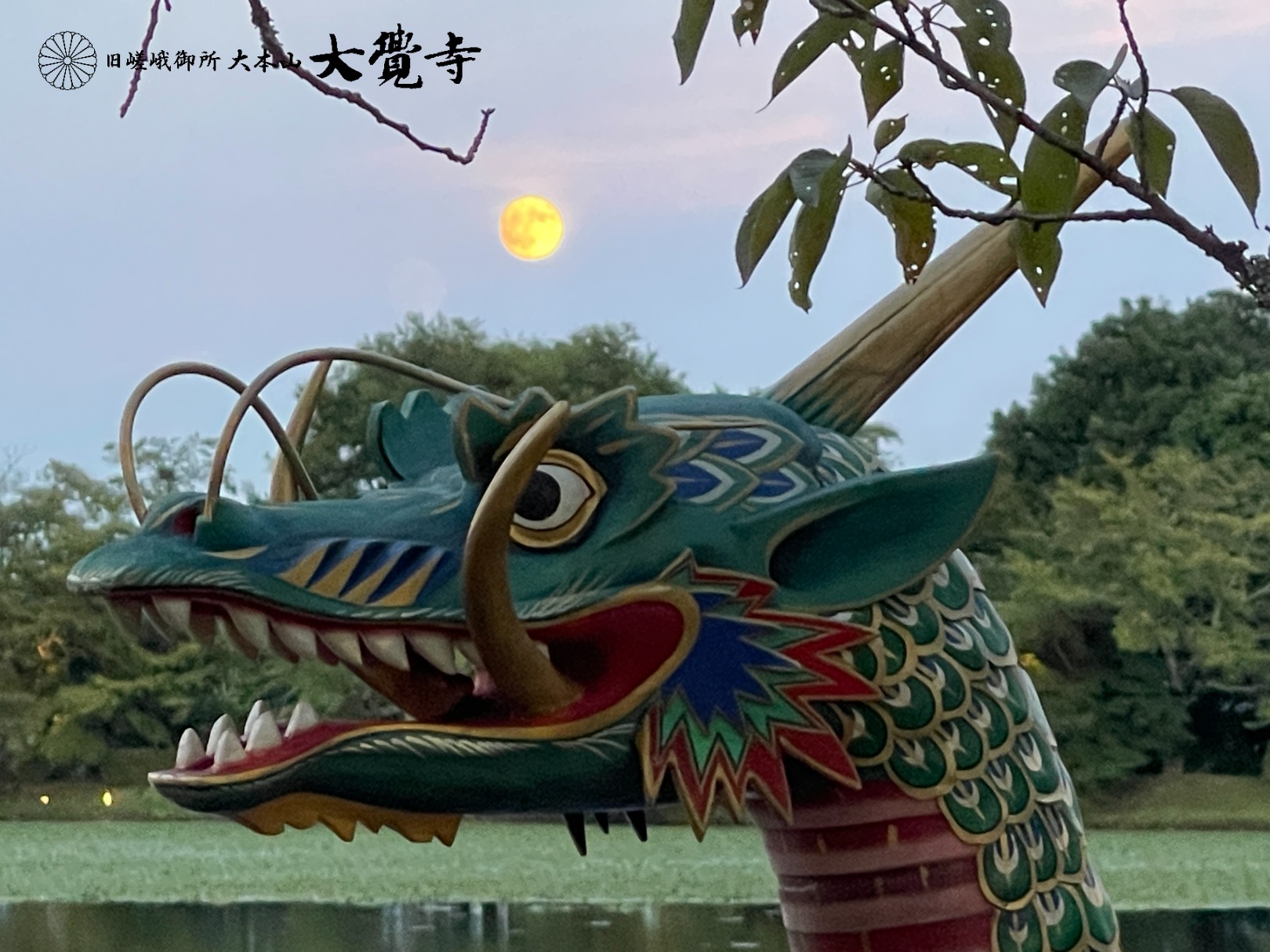 いけばな嵯峨御流 | Kyoto-shi Kyoto