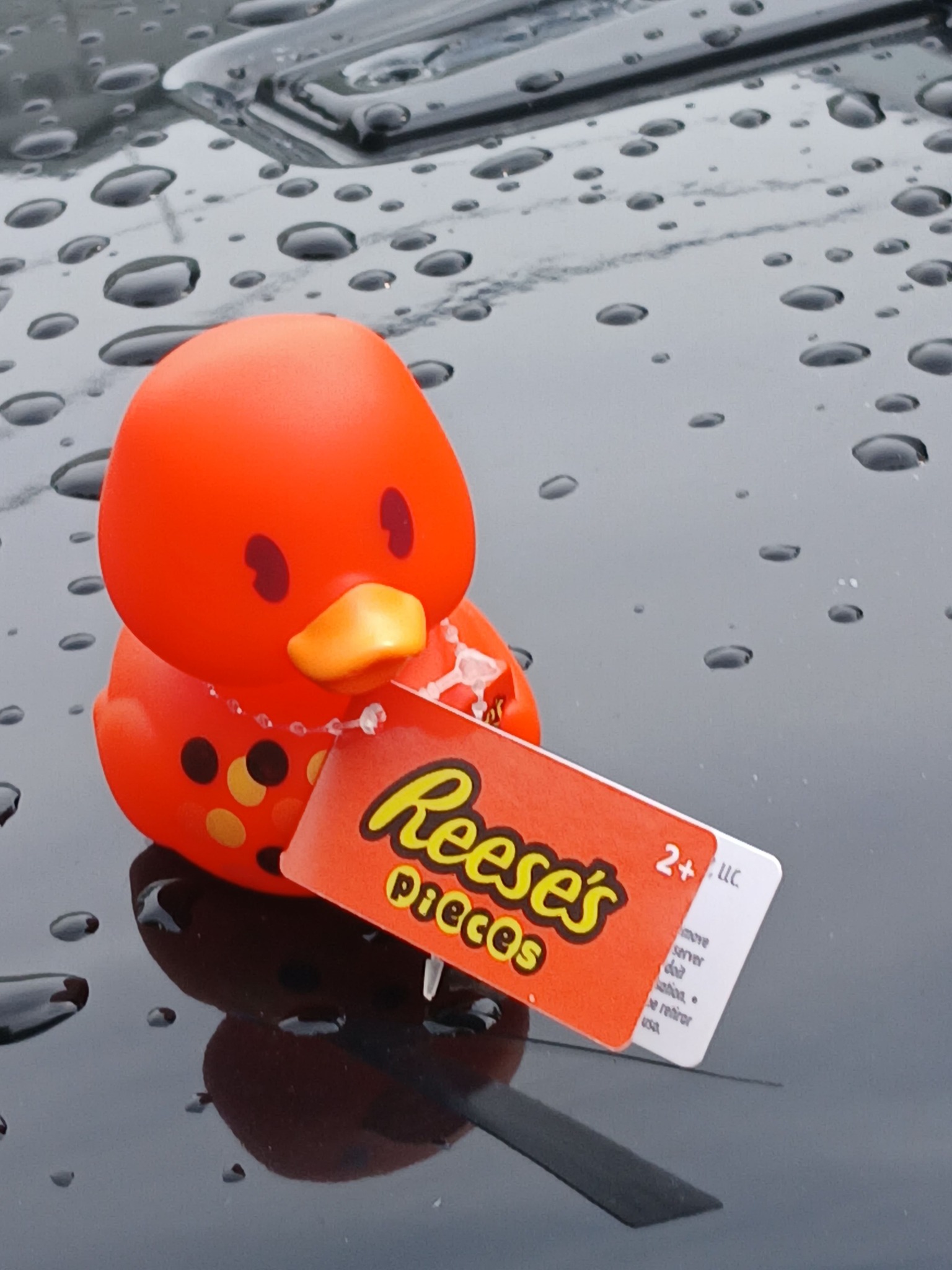 My sister inlaw got me the duck Reeses dot 2 PICCOS pieces 2+UC 2+