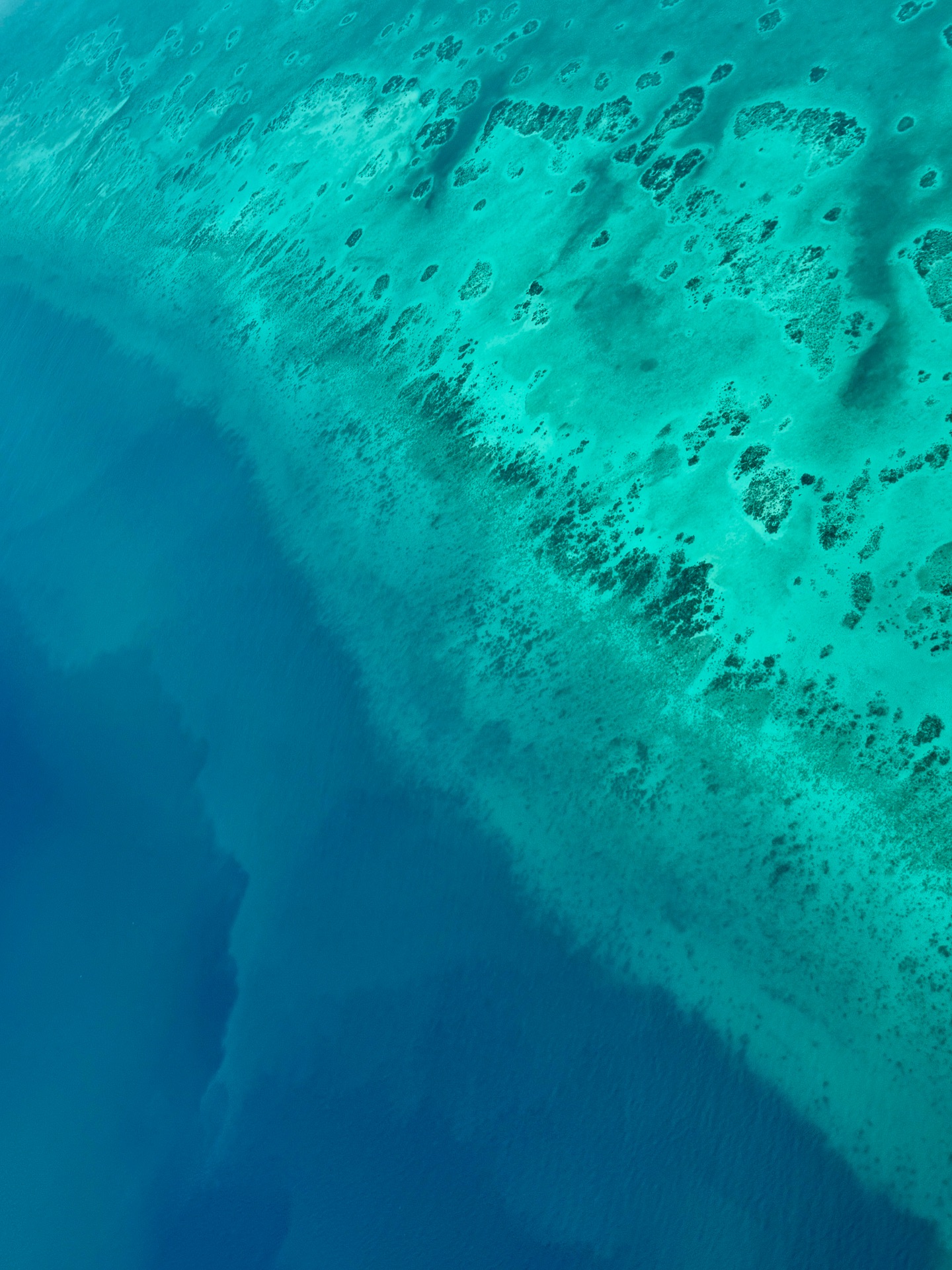 伊娃慢遊記 - 伊娃慢遊記 added a new photo — at Great Blue Hole.