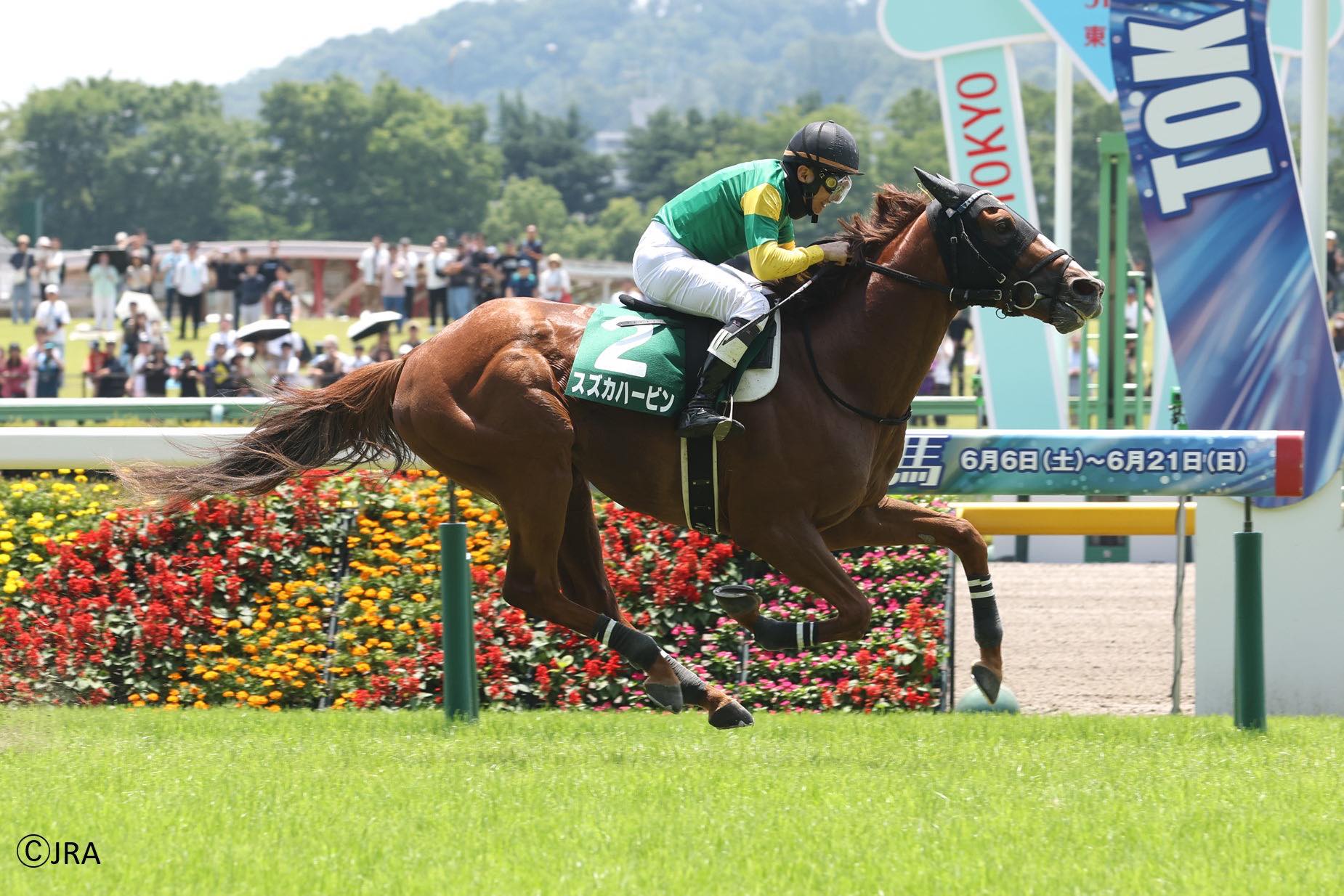 1999年のジャパンカップはスペシャルウィークが優勝！ 凱旋門賞馬 