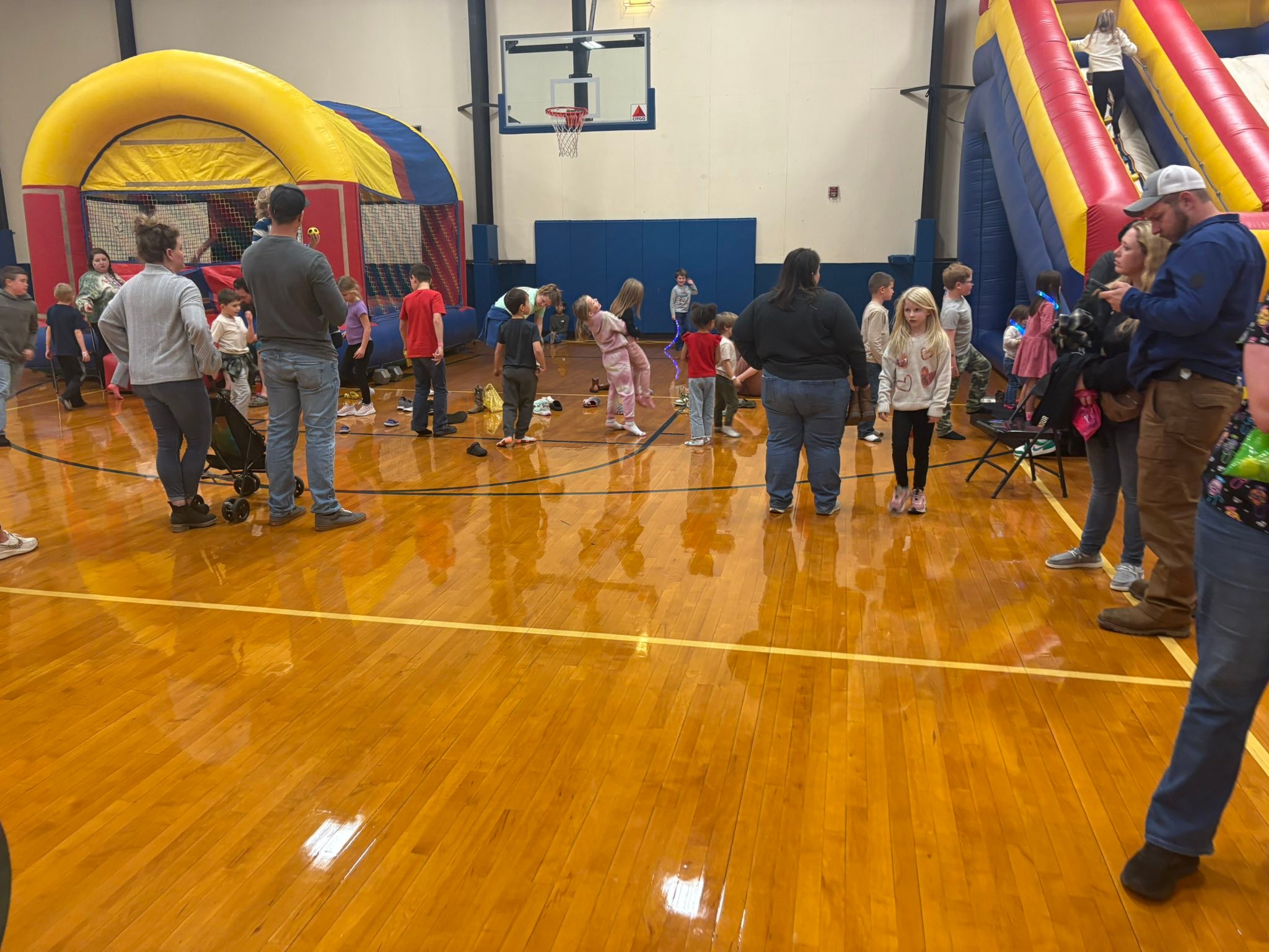 Patrick Springs Primary... - Patrick Springs Primary School