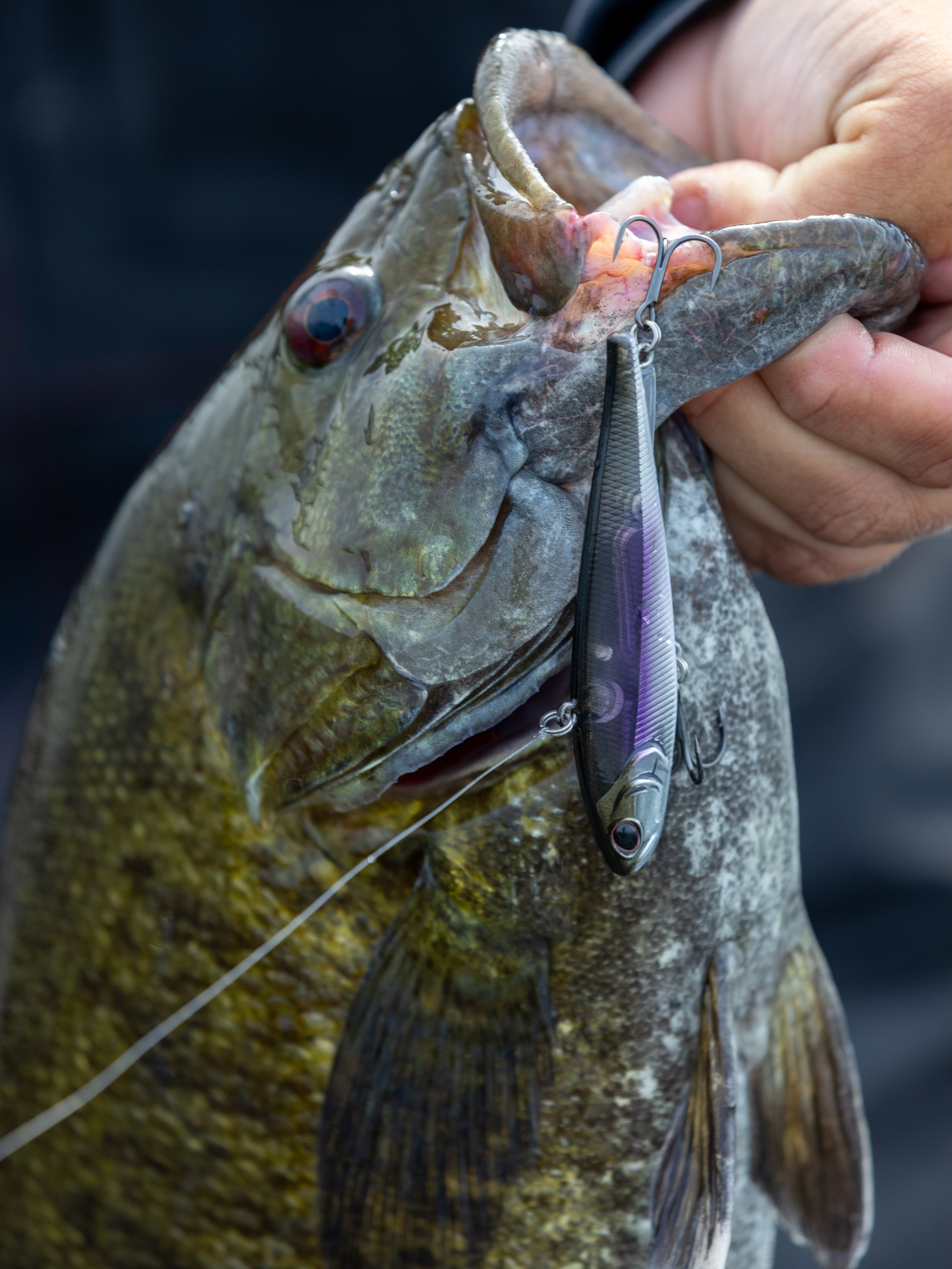 is the shimano sienna a good reel HD 4000, – Sportfiskegiganten Color:Sexy Cracks Sienna has the distinctive Shimano Battery Power Cord Eorzea Database: Versatile Lure