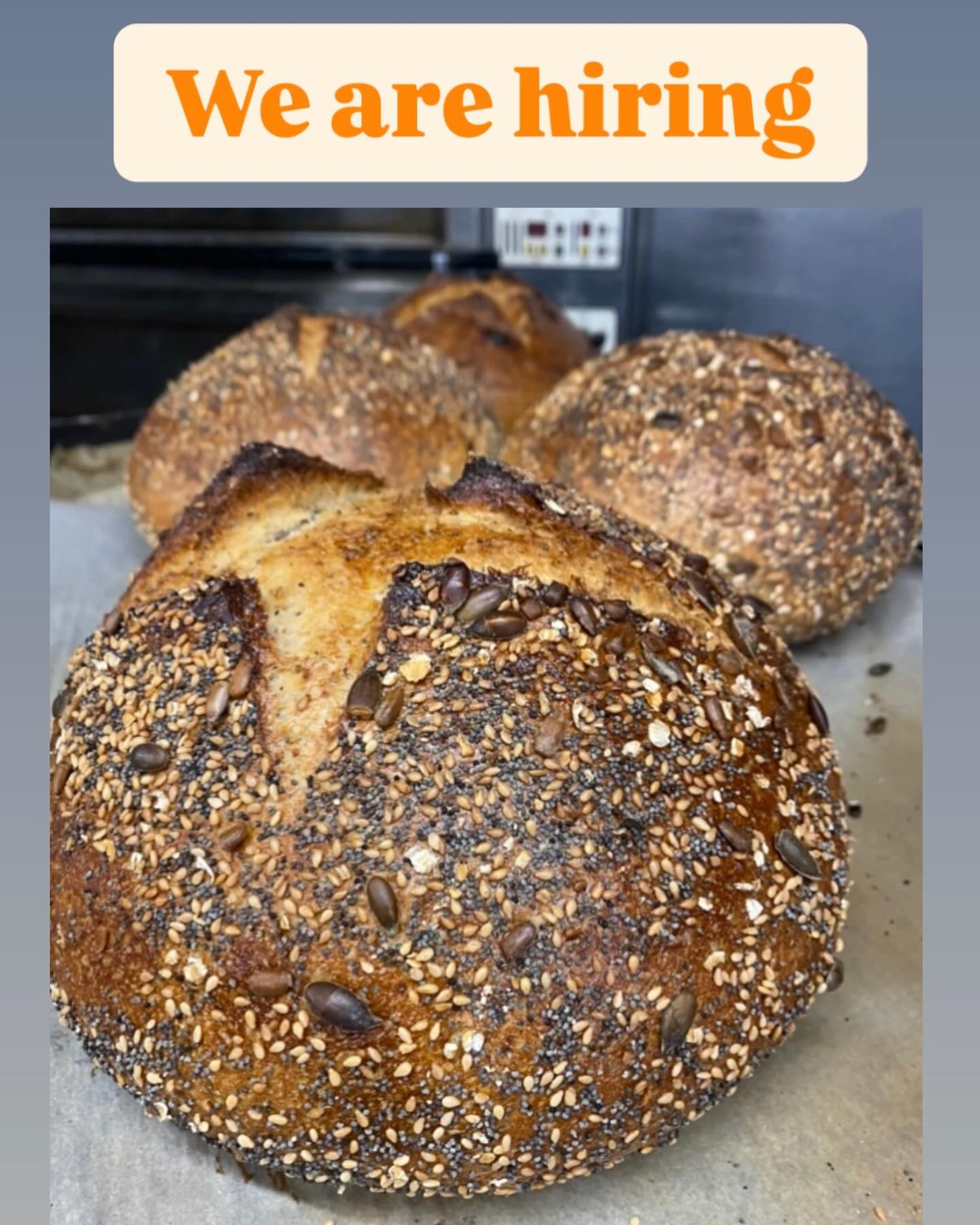 The Ginger - We are hiring for the following positions, bakery ...