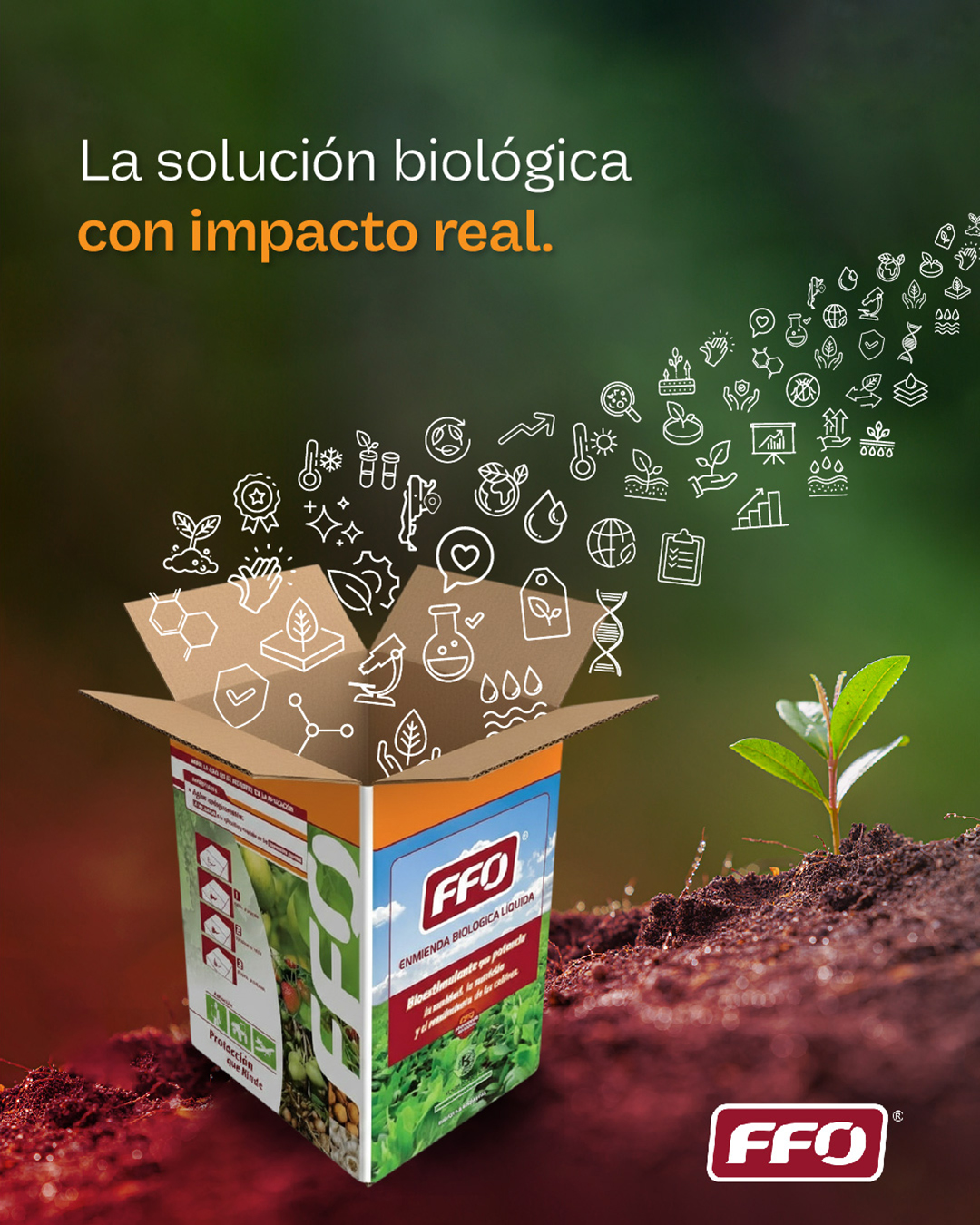 FFO - Cuando la biología se activa, todo el sistema responde. Porque ...