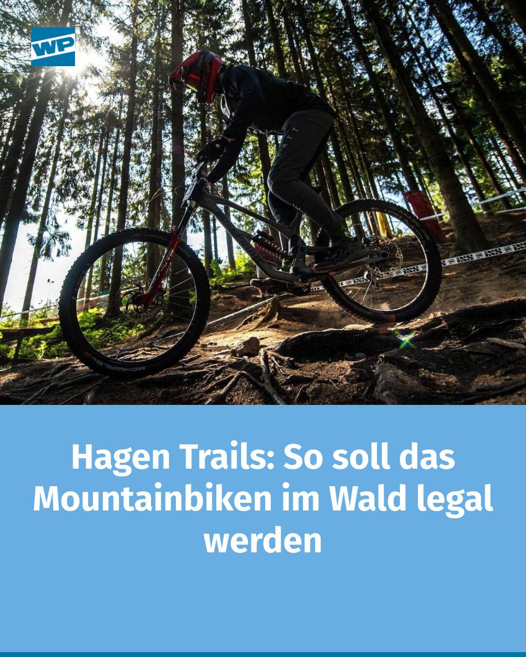 ncm london klapprad Folding Electric Bike Ausführung:45-584, 45-622 / 1.75-27.5, 1.75-28 Zoll S-Pedelecs 2023 im Test: handarbeit