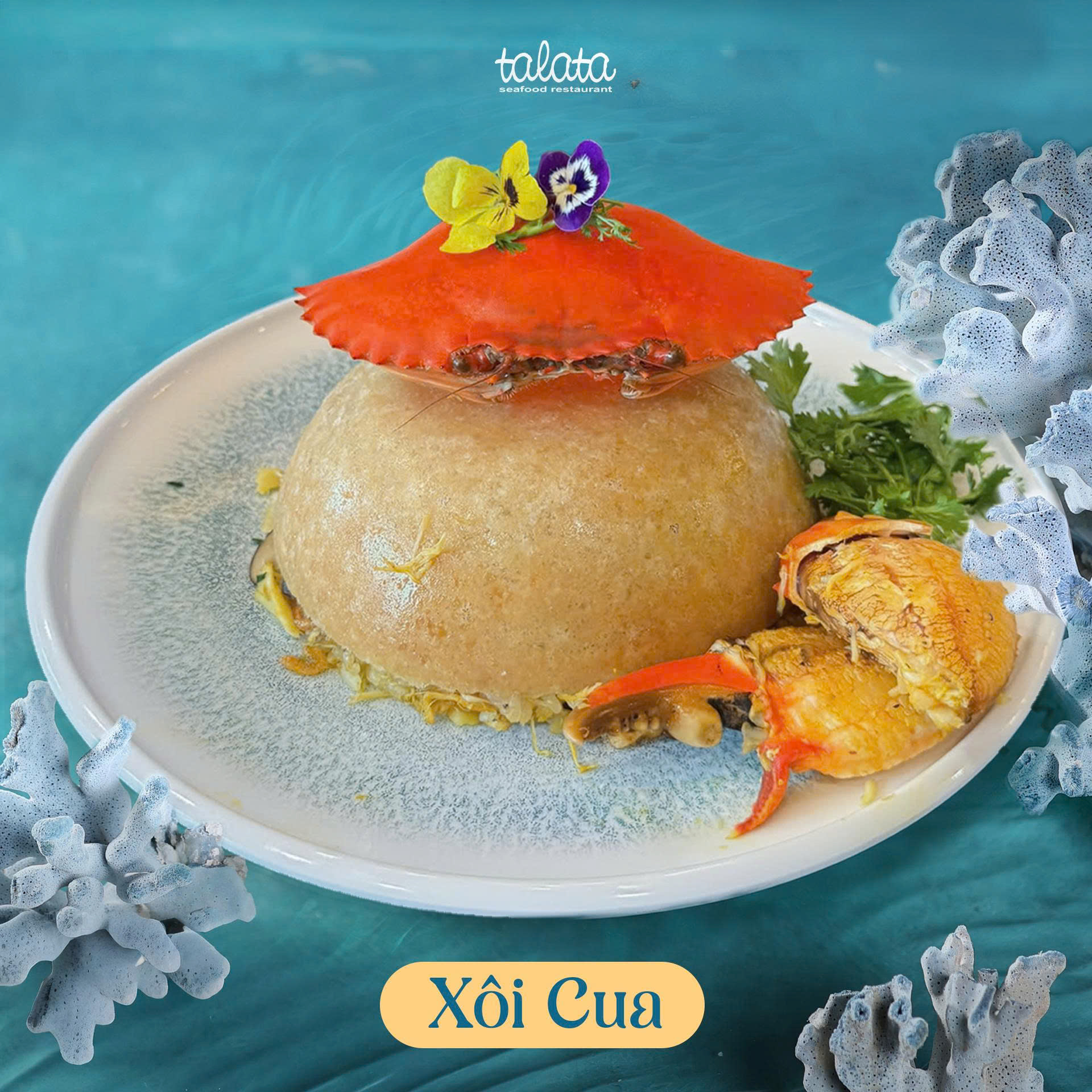 Talata Seafood Restaurant | Hai Phong