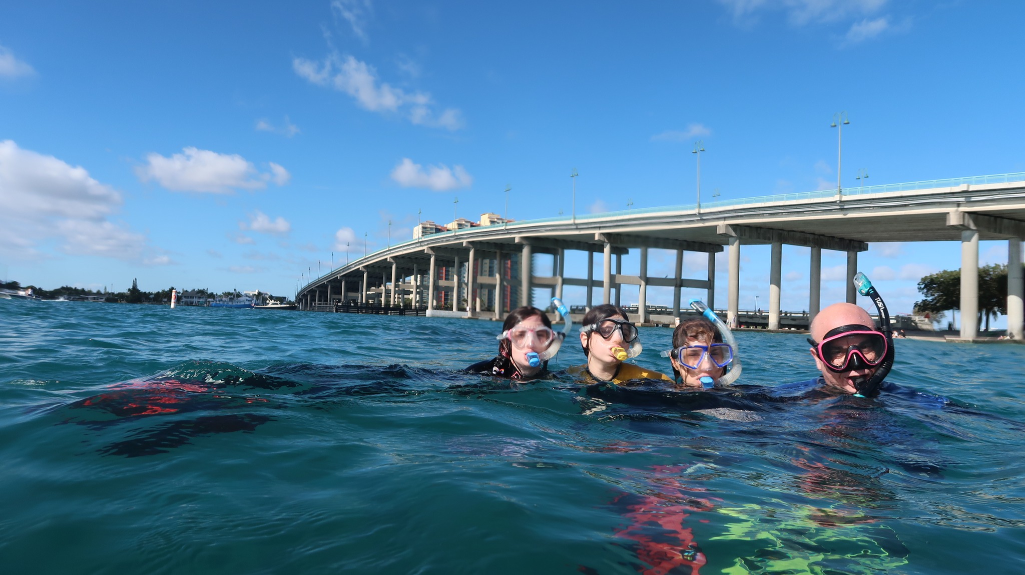 Curated visual reference: Gallery Detail: Private Scuba Lessons