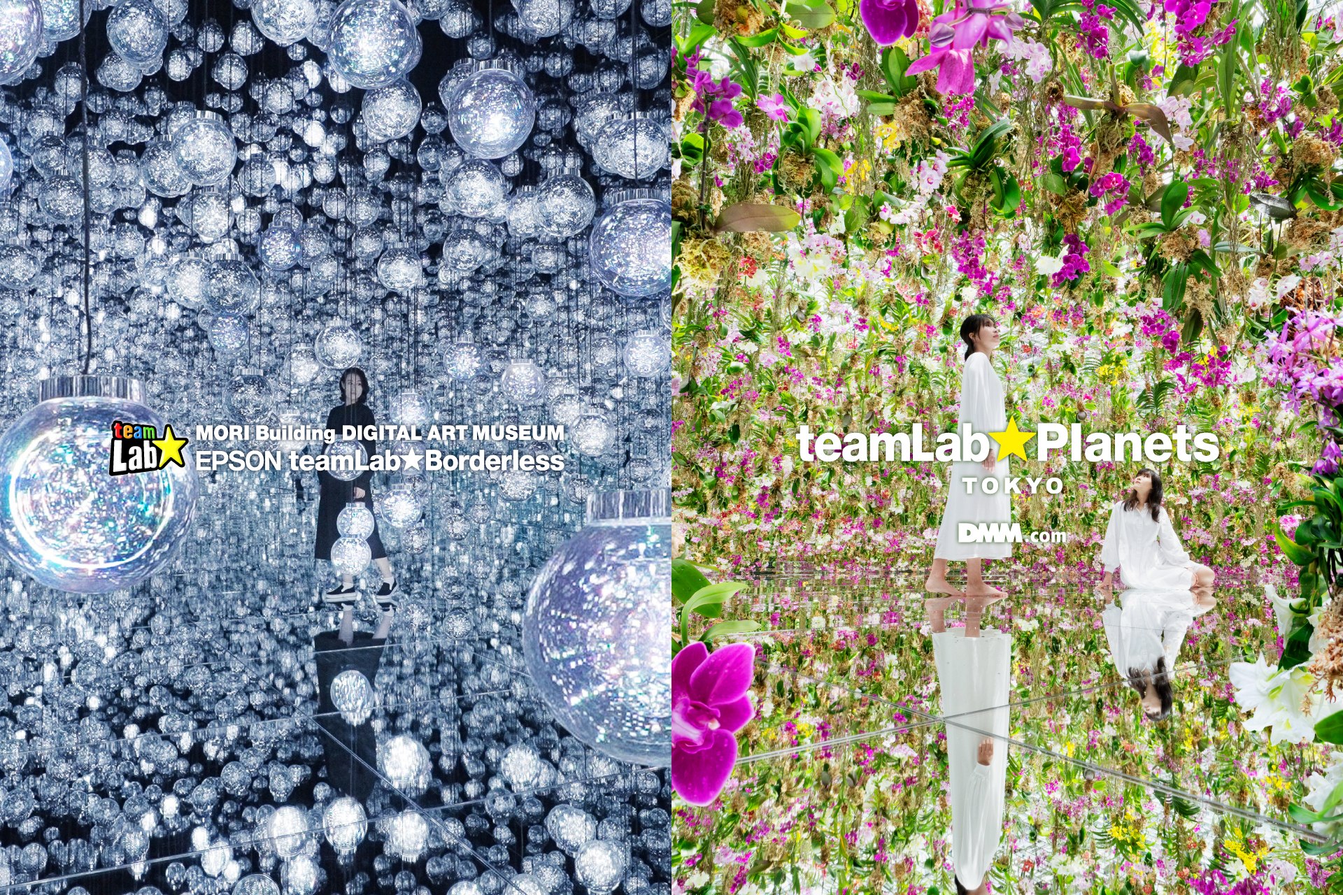 teamLab / チームラボ - teamLab / チームラボ added a new photo.