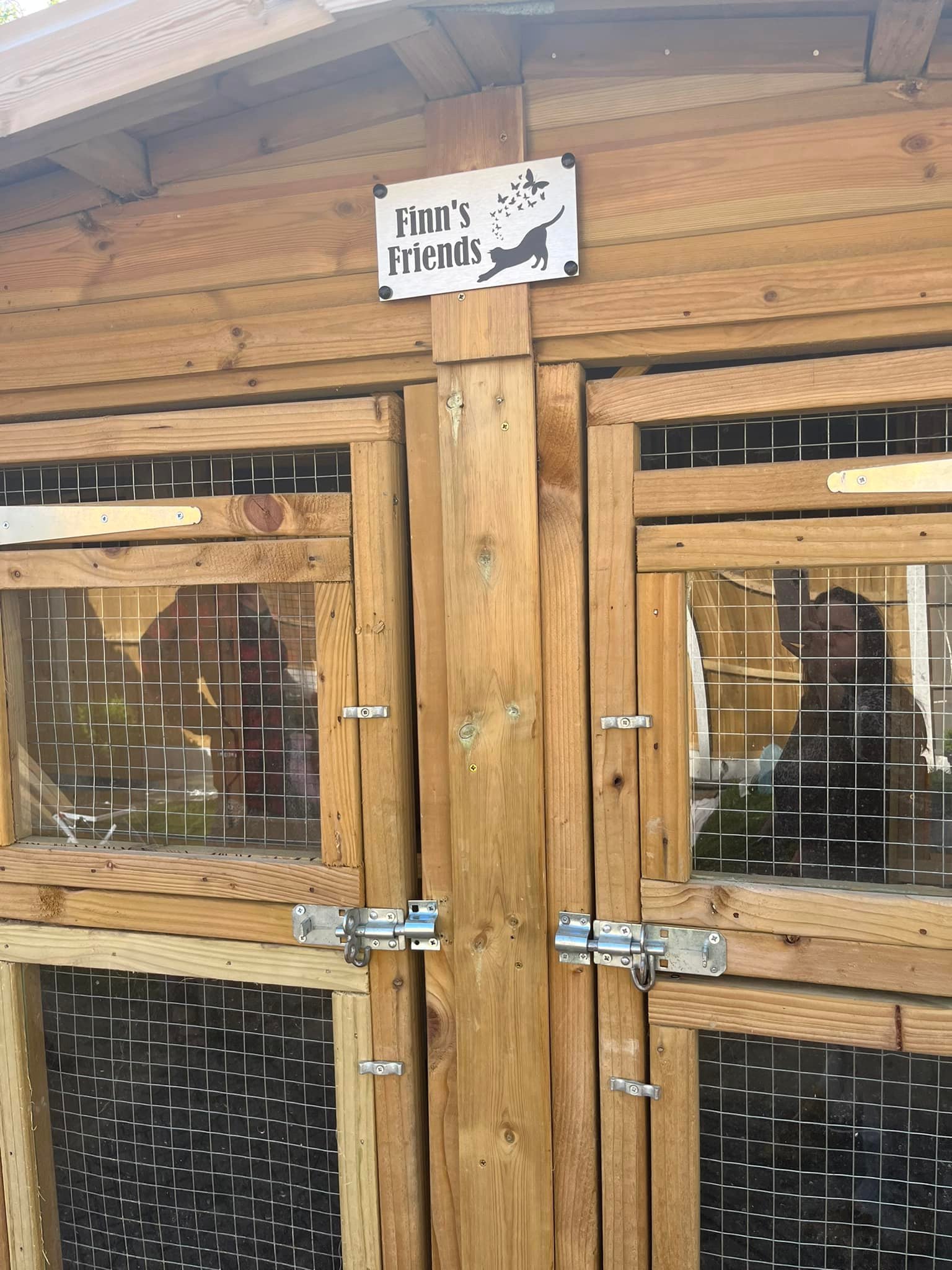 🎊🍾To celebrate the grand opening... - Next Steps Cat Rescue