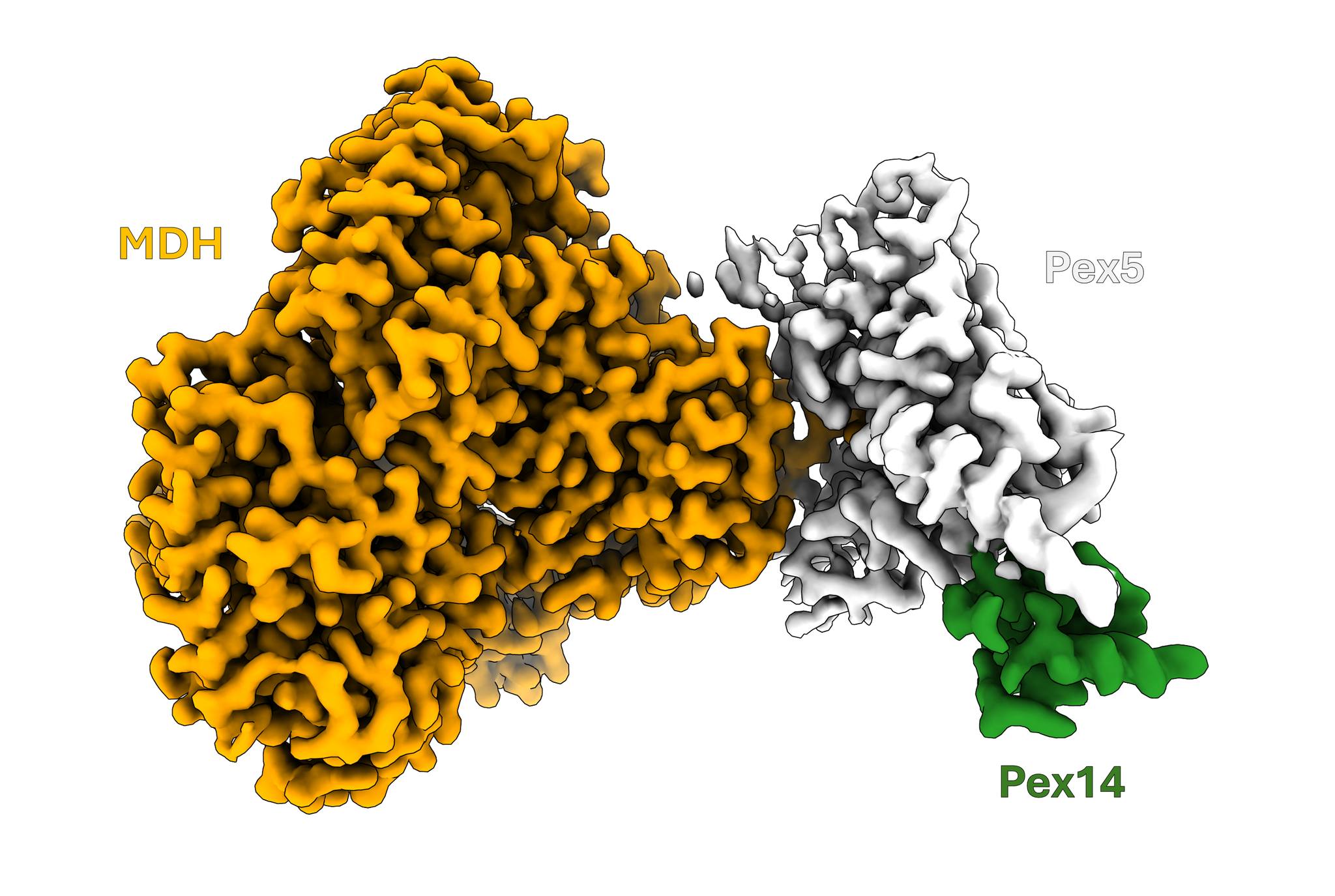 Małopolskie - #newpaper A research team led by prof. Grzegorz Dubin ...