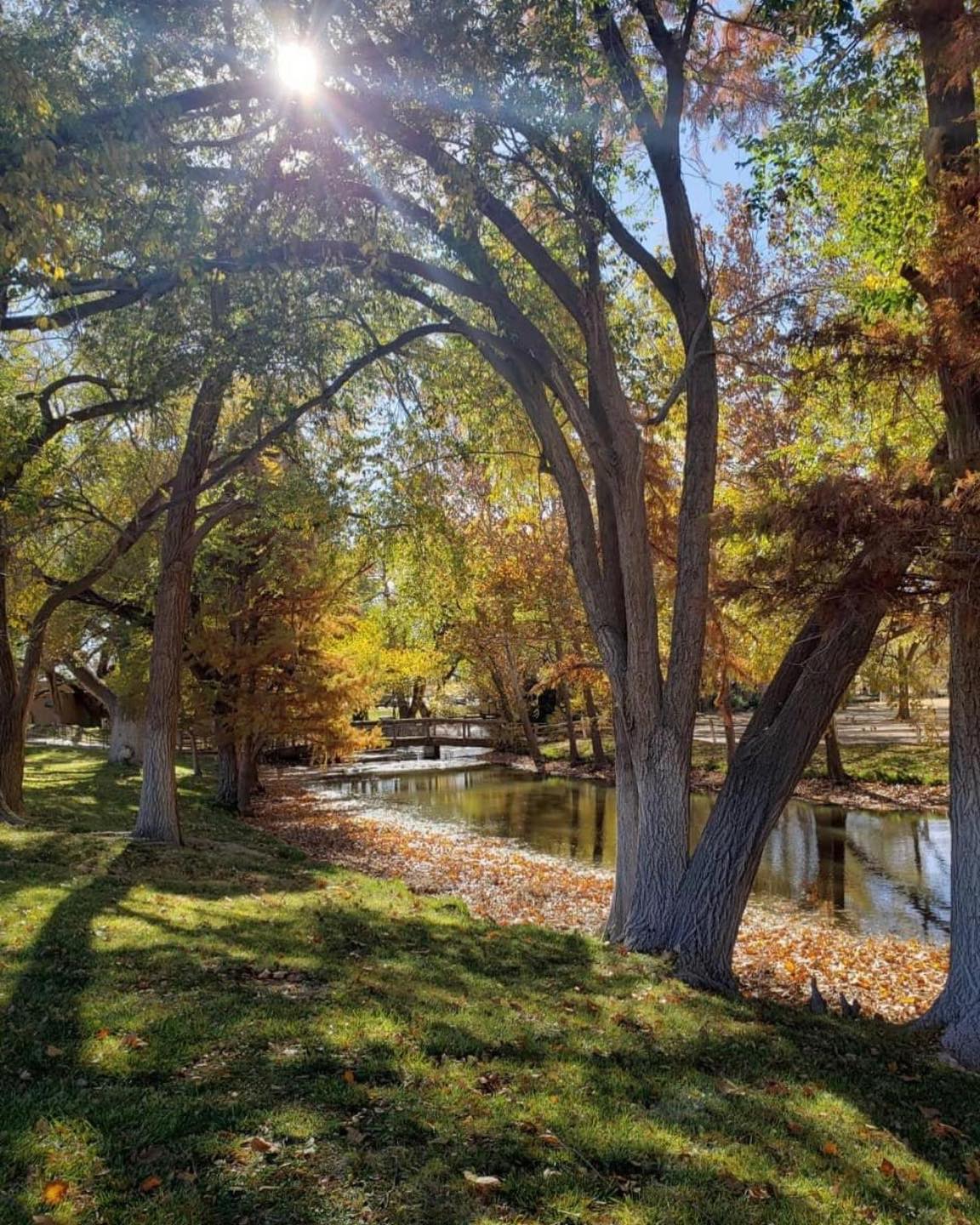 Spirit Ranch - 🍁 Can’t wait for this view. Fall at Spirit... | Facebook