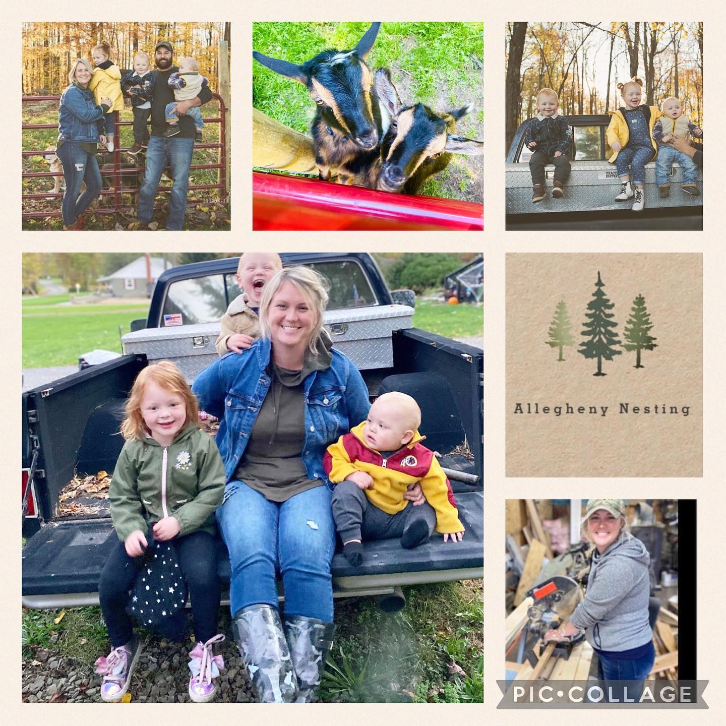 🌲Welcome to Allegheny Nesting🌲 I... - Allegheny Nesting | Facebook