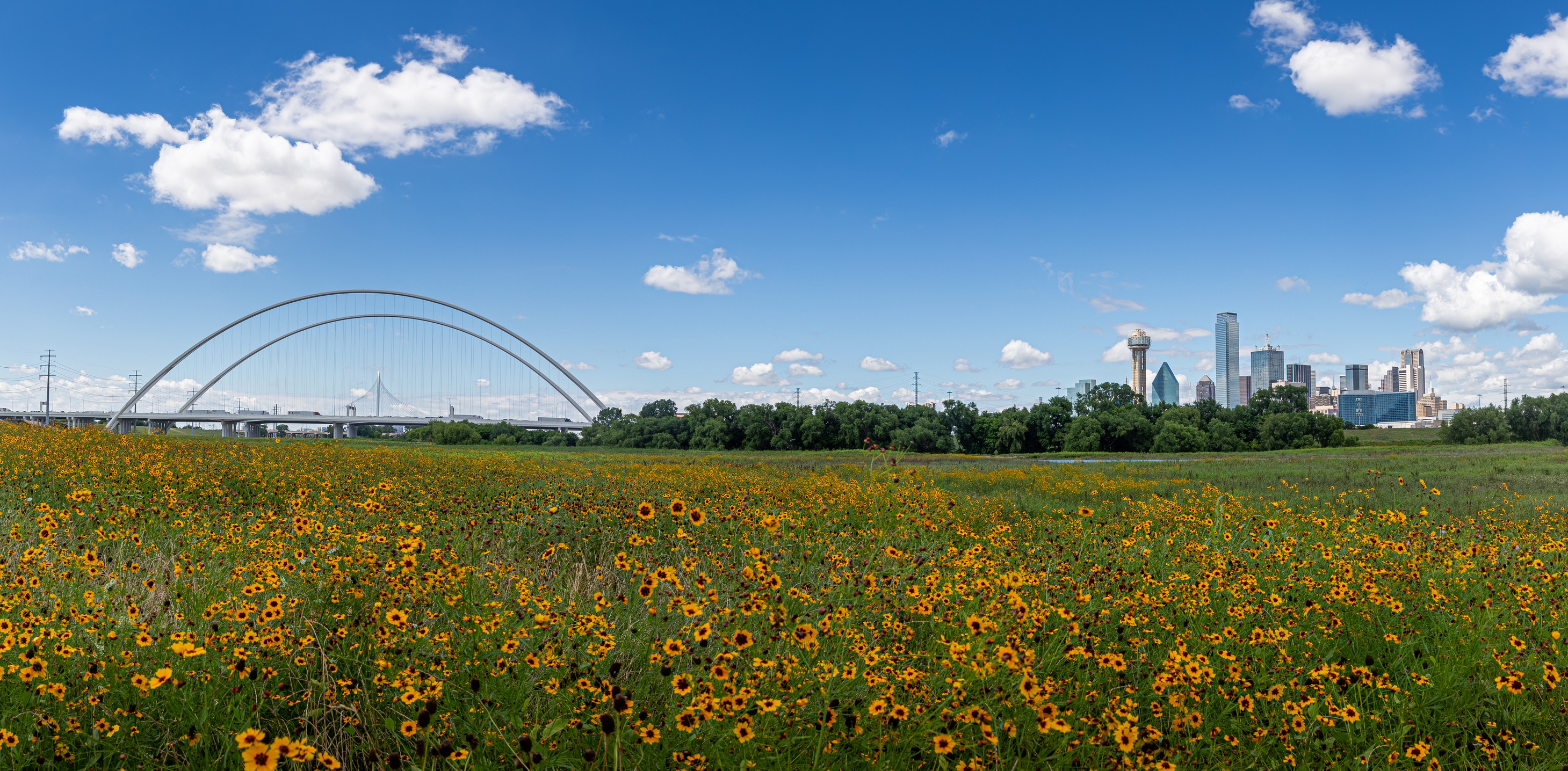 City of Dallas Planning & Development | Dallas TX