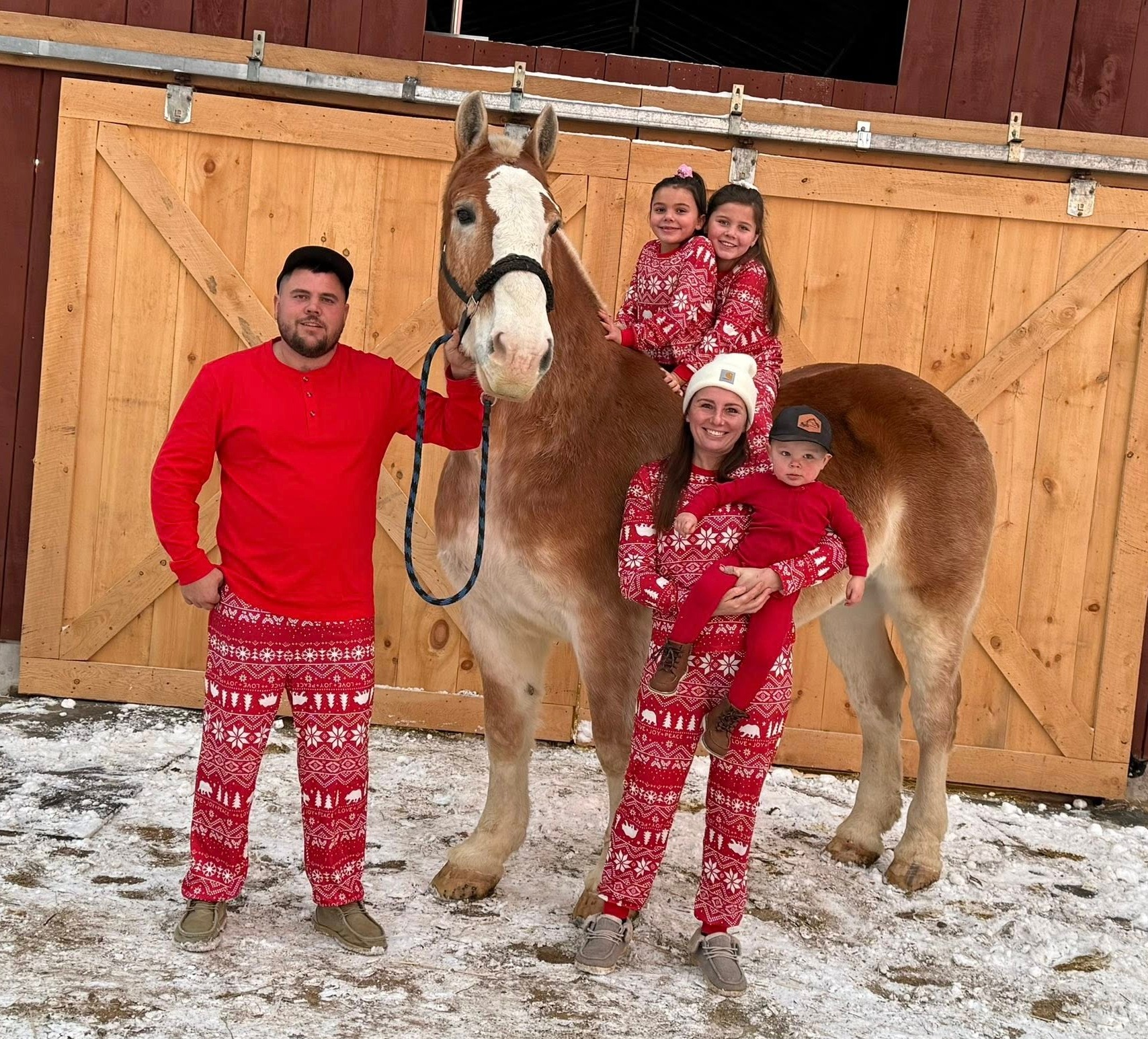 Horse - The Perkins Family | Facebook