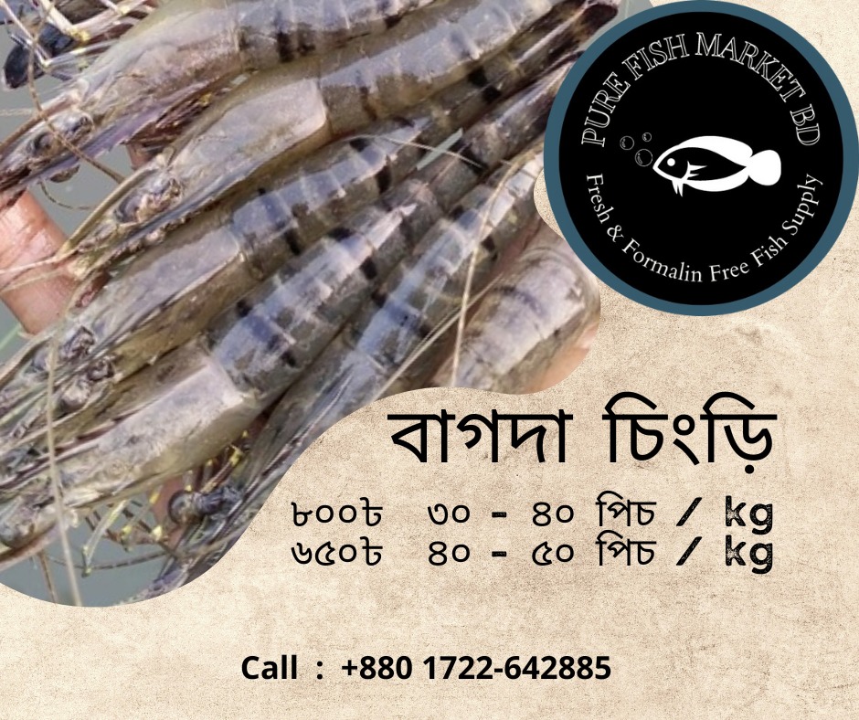 Pure Fish Market BD | Dhaka