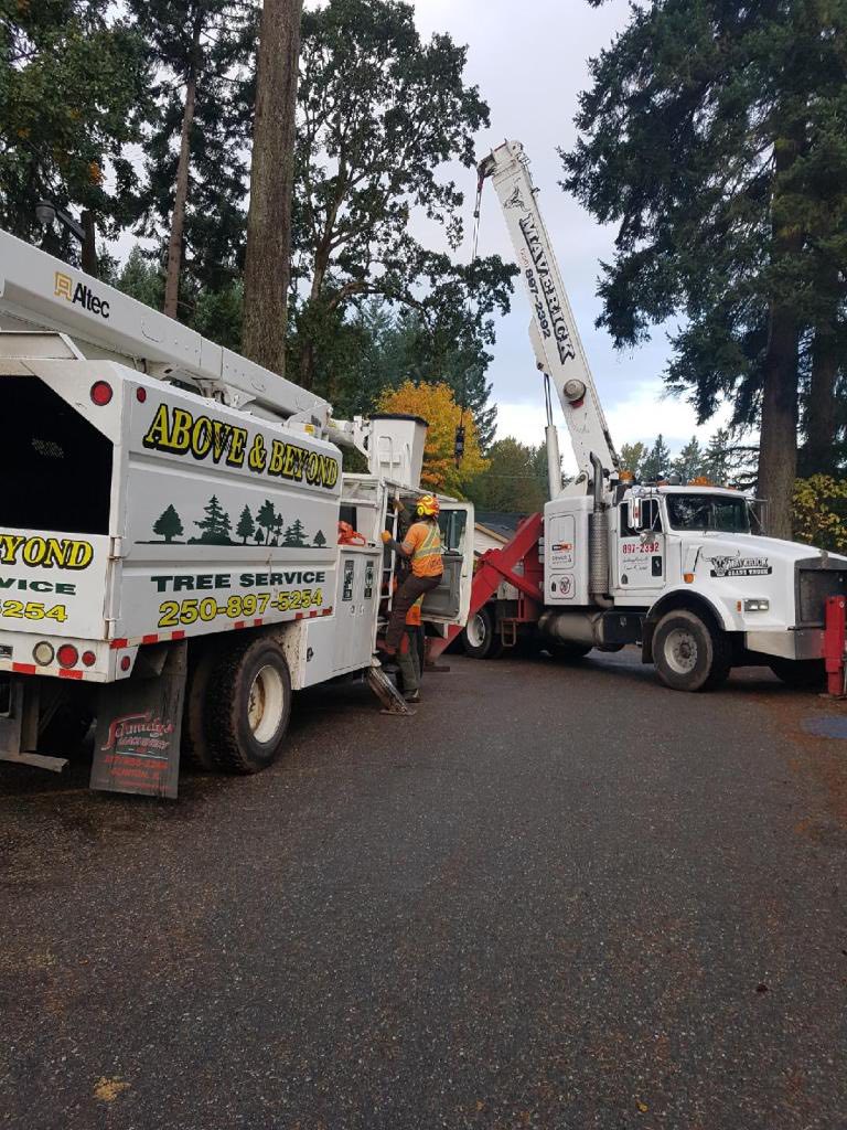 Above & Beyond Tree Service | Courtenay BC