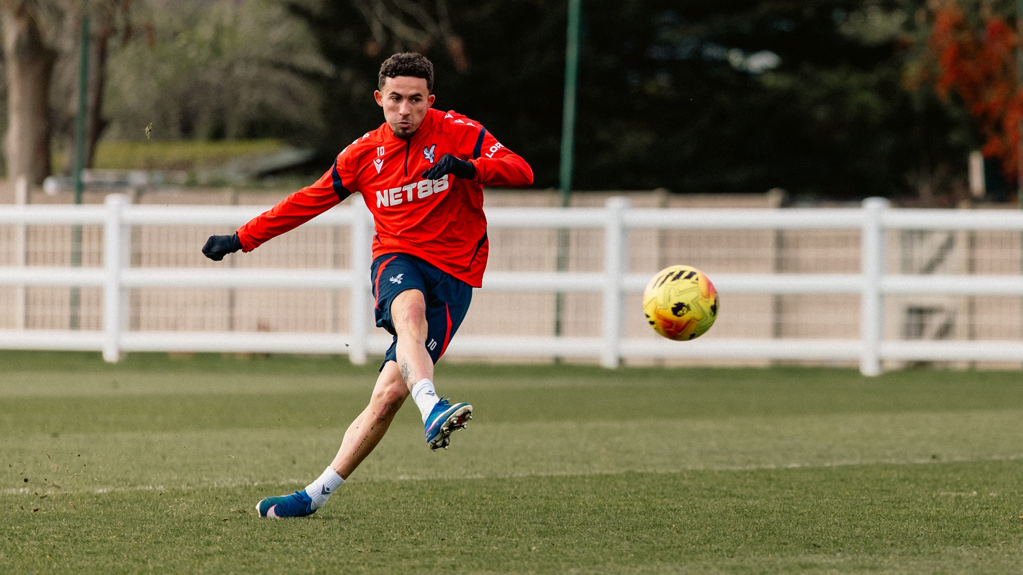 Crystal Palace Football... - Crystal Palace Football Club