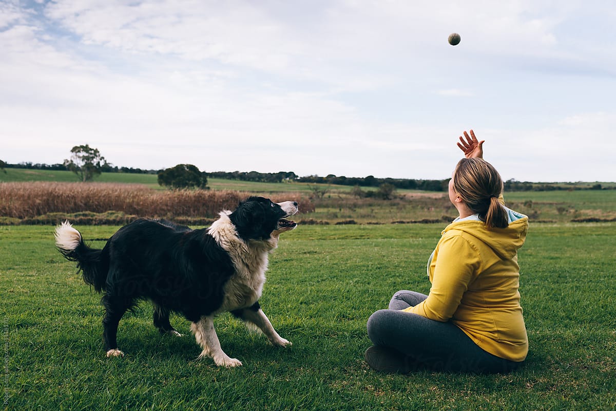 Catch and Fetch