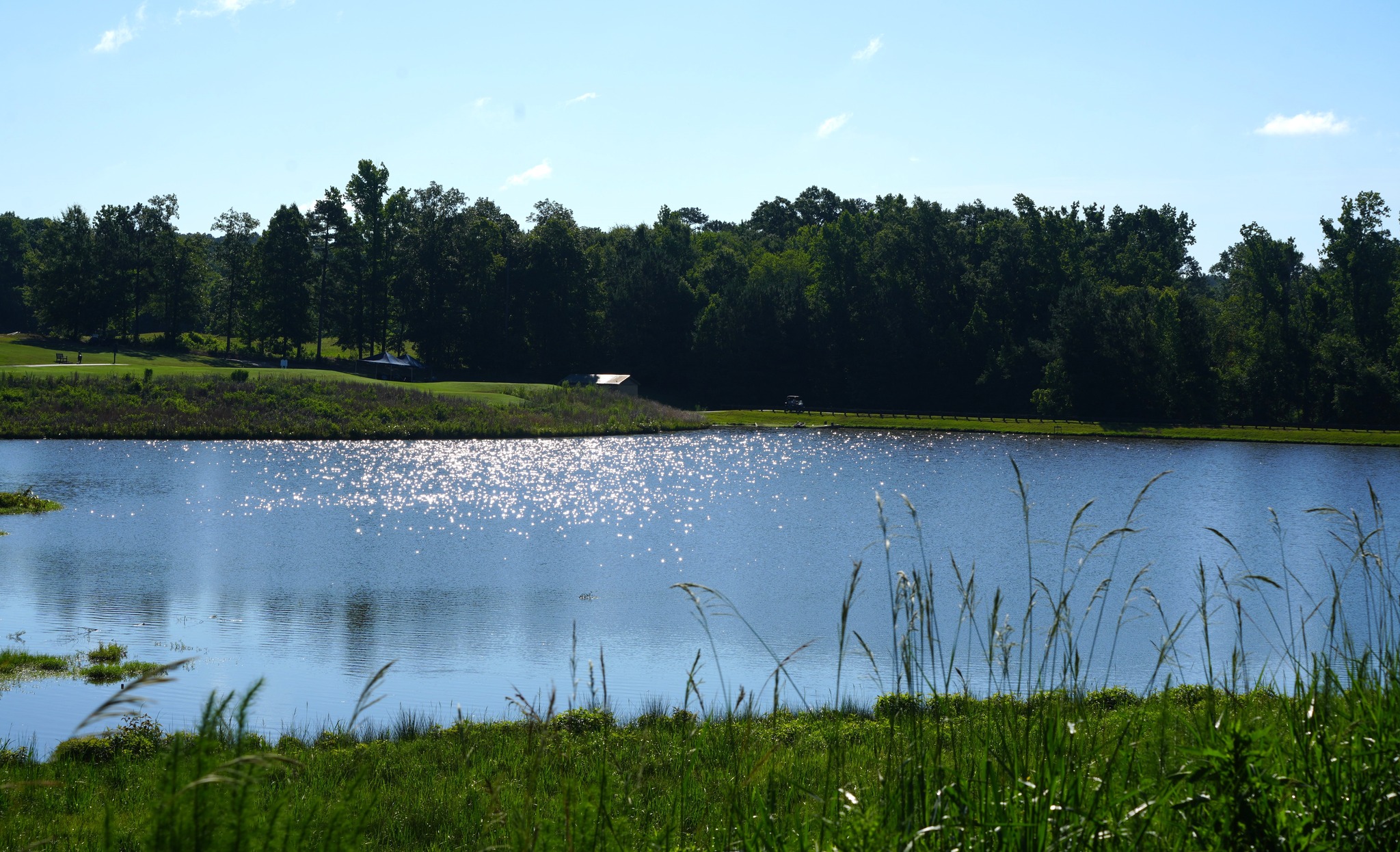 American Junior... - American Junior Golf Association (AJGA)