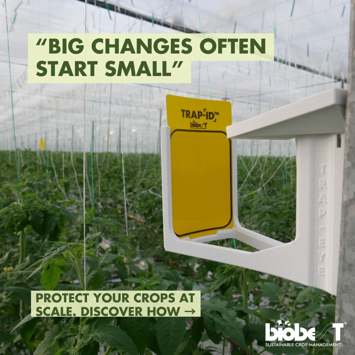 Biobest - From one hectare to 88: how Lansgroep scaled our AI-powered ...