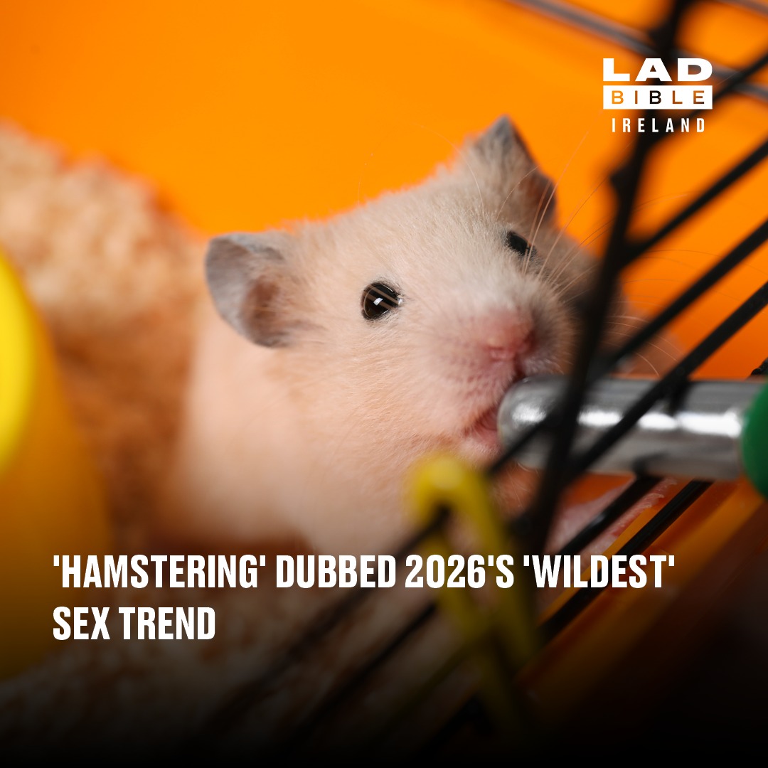 A bizarre viral bedroom buzzword is... - LADbible Ireland | Facebook