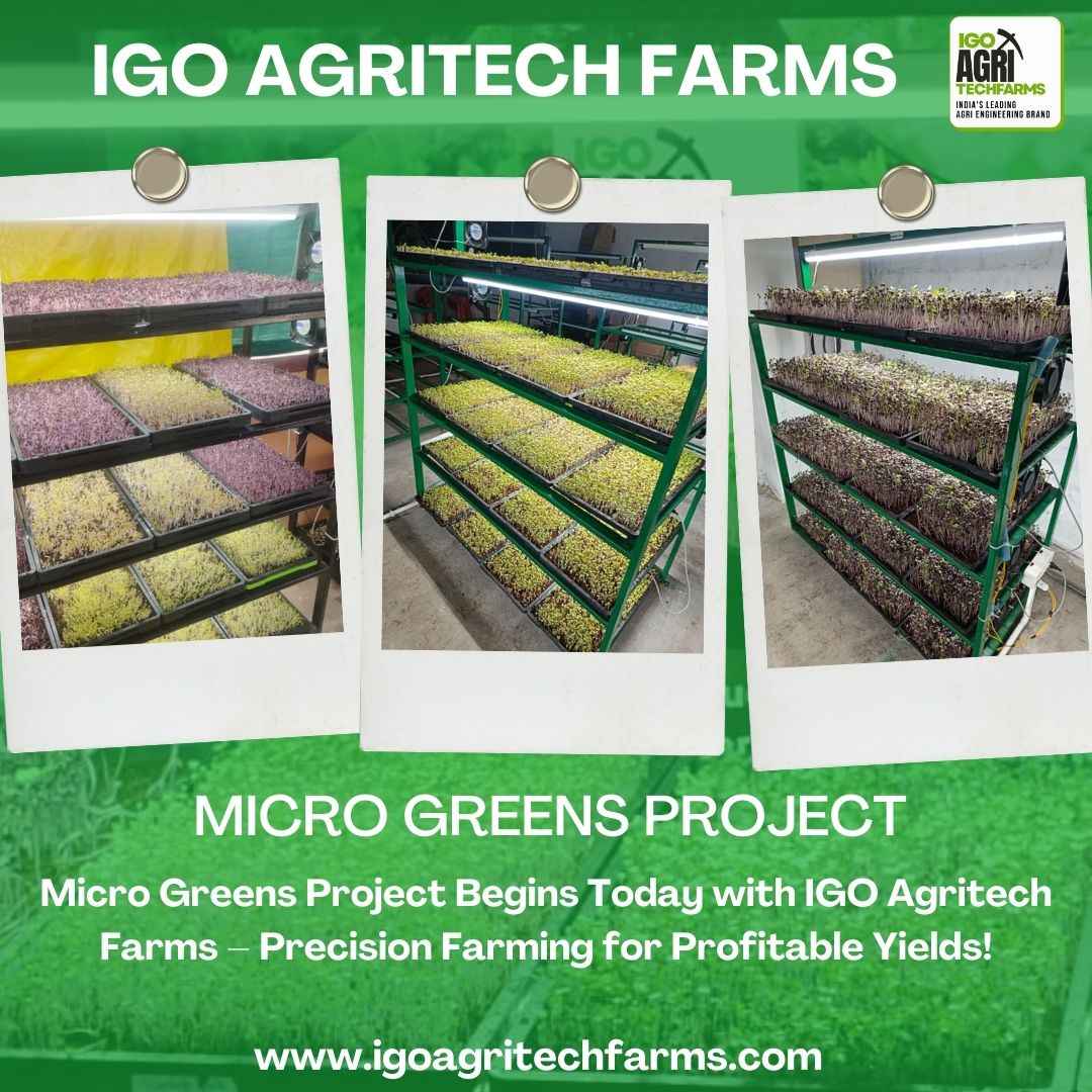 IGO Agri Techfarms | Chennai