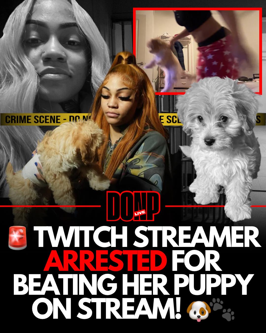 Don P - UPDATE 🚨 Twitch streamer and rapper Aspen Kartier... | Facebook