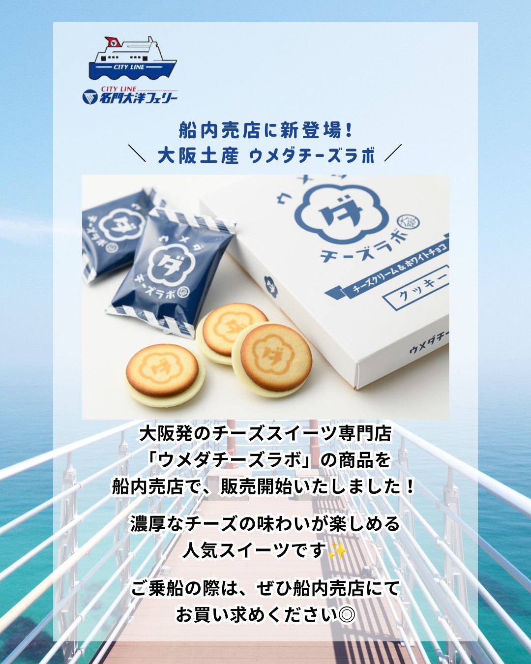 茶平工業？ 記念メダル 名門大洋フェリー ぺがさす 記念 乗船記念 船