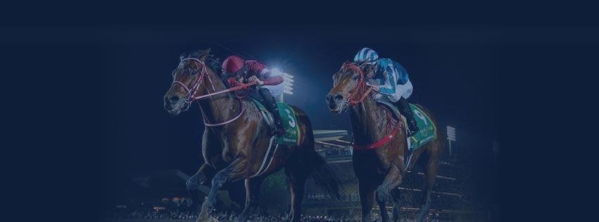 Thoroughbred Racing Commentary
